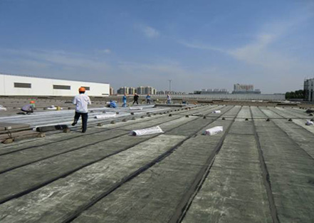 我公司已實施單項產(chǎn)值200萬元以上的項目，共計12項...